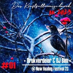 2023 #01: Drukverdeler & DJ Bim - @ New Healing Festival 23