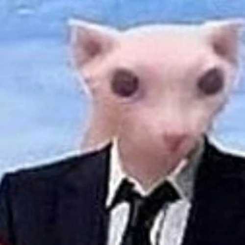 Fancy Bingus