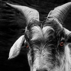 Erphun - Guide Thy Hand (Original Mix)_CLIP