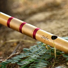 Etnic Flute In The Rain - Mediatation