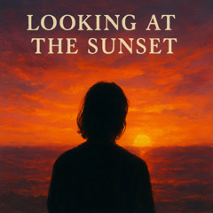 Looking At The Sunset