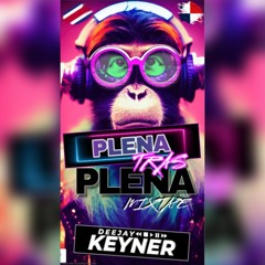 Plena_Tras_Plena_Mix_Tape