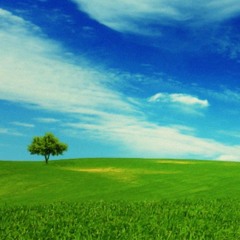 54 Imagine you are there