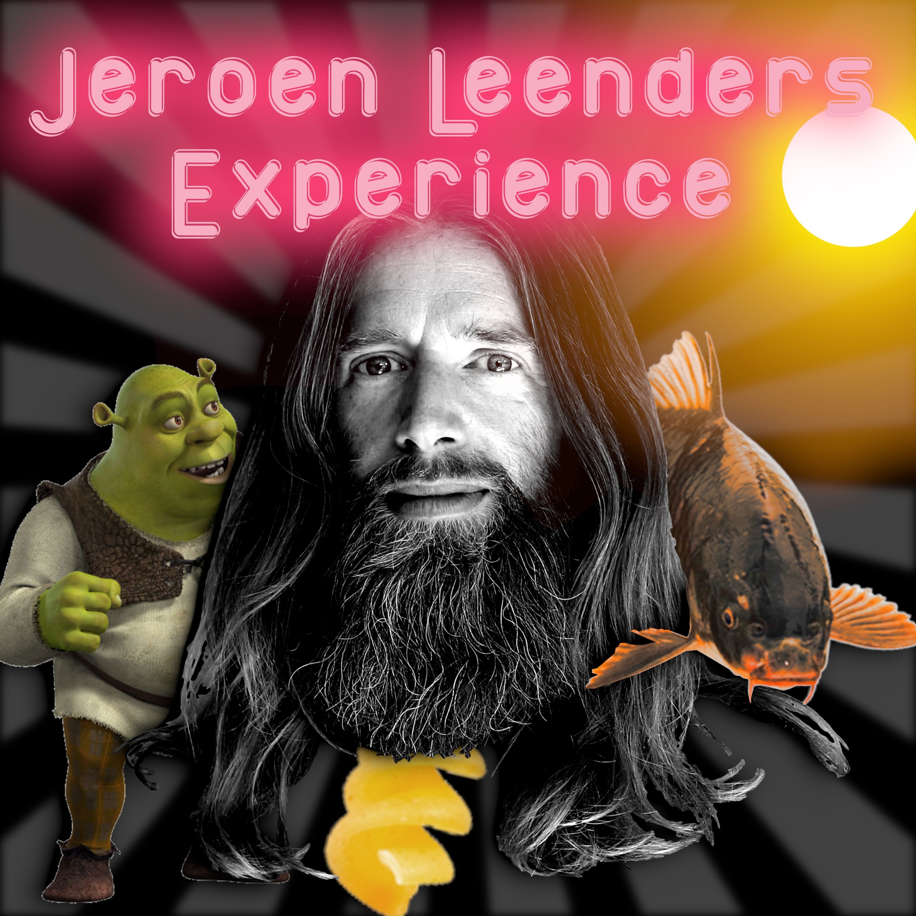 Jeroen Leenders Experience