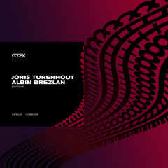 Joris Turenhout, Albin Brezlan - Chtone
