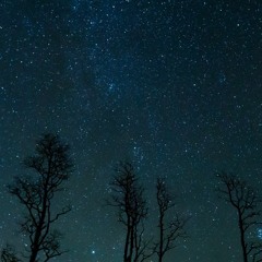 a blue nocturne sky, full of stars