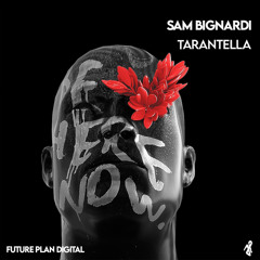 Sam Bignardi - Tarantella