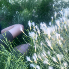 breathe_20230904