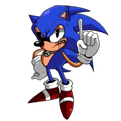 FNF VS SONIC.EXE V2.5 Cycles