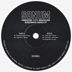 A2. Paradise City Breakers ─ Hypnotic Mango [SNM001]