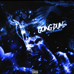 STS KDUBZ - GOING DUMB