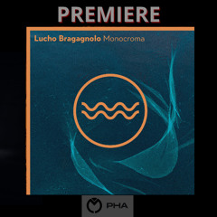 PREMIERE:Lucho Bragagnolo - Next Chapter (Gaucho Kid Remix) [Traful]