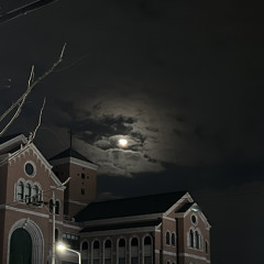 영화 cover