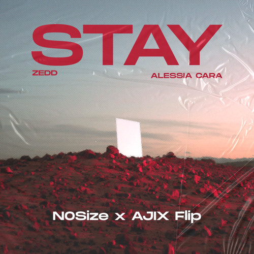 STAY ( N0Size x AJIX Flip )