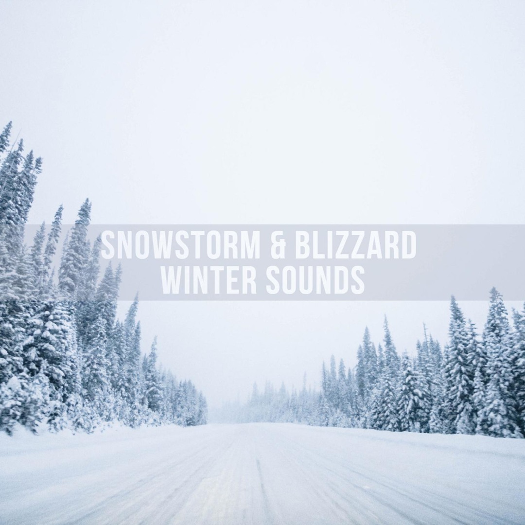 Stream Blizzard Sounds For Sleep Relaxation By Snowstorm Sounds
