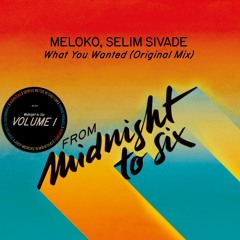 Meloko & Selim Sivade - What You Wanted (Original Mix)