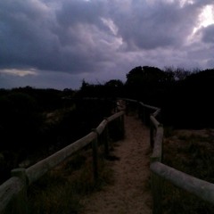 FKISM: Carrickalinga Beach dunes - May 2015