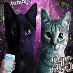 2015(qwik+bbmevis)