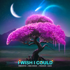 I Wish I Could