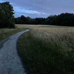 rejection - olivia o.