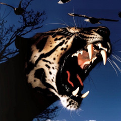 "ZONE 6" FUTURE X PLAQUEBOYMAX X 1300SAINT X YOUNG THUG X PLAYBOI CARTI TYPE BEAT