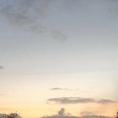 The Truth: The Universe