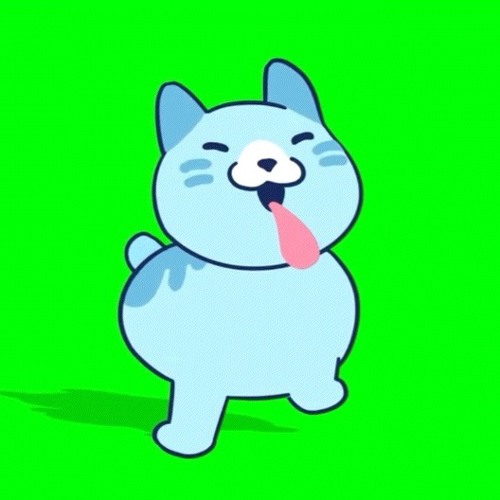 Easter egg cat (Shiloh and bros)