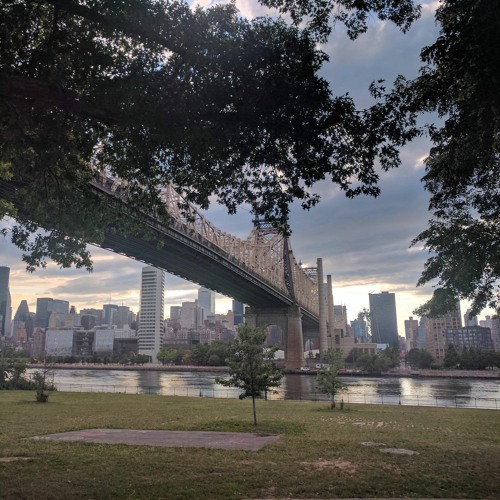 Building Bridges [snippet] (SOLD)