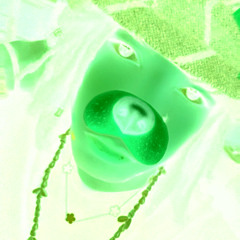 price tag (5aveyou)