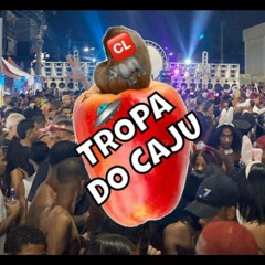 244 DA TROPA DO RODO TROPA DO GRAU 2024