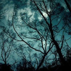 WAKE UP MOTHER FxxKER Psytrance.mix