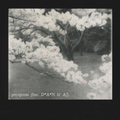perceptions (feat. D*A*N & AJ)