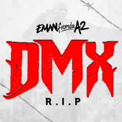 R.I.P DMX [Dogs For Life Fresstyle]