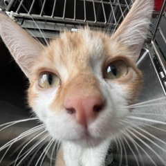 ich Verstehe Nur Bahnhof✨🫶🏻