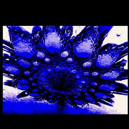 MY MIND - Bill Austin