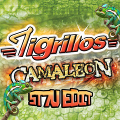 TIGRILLOS - CAMALEON(ST7V EDIT)