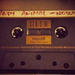 Andy Animal - Now