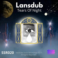 Lansdub - Duplicates (Original Mix)
