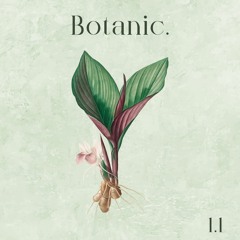 Botanic Sprout - 1.1 - Mayra