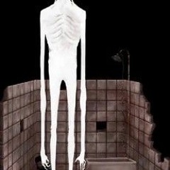 Theme it was all your fault the boy and the bath