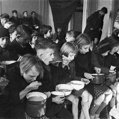 The Winter When People Ate Tulips