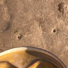 Universe Constructor [noise]