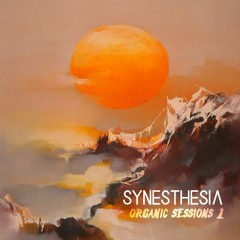 Synesthesia - Organic Sessions 1 (Teaser for Wolno Festival Afterparties '21)
