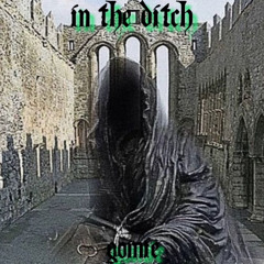 In The Ditch