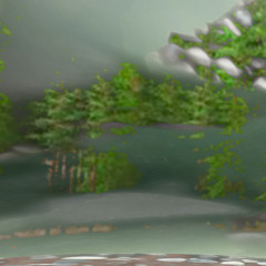 Virtual Forest
