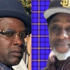 THE PLUG- Stic & Stone