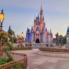 Best Things To Do In Magic Kingdom Orlando Tours Reviews