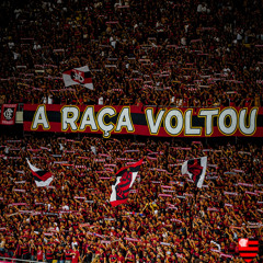 A RAÇA VOLTOU