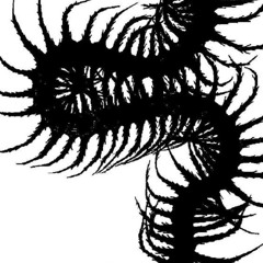 0594_bsvctm_foreversalty_bootleg_ox