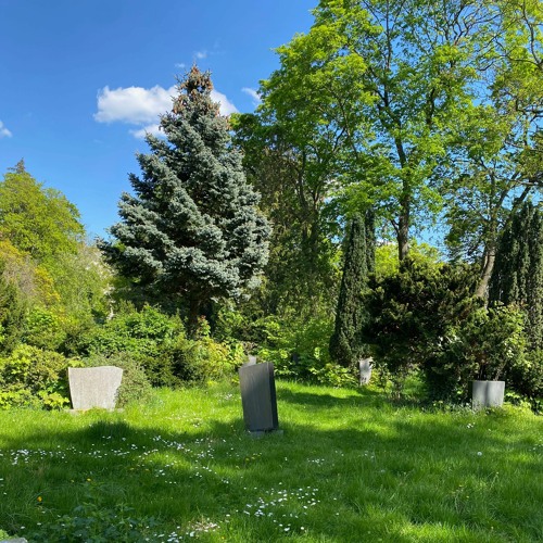 Jacobi Friedhof